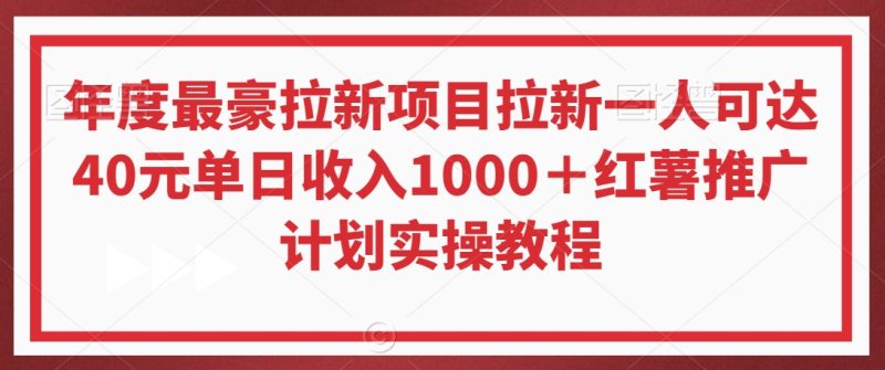 年度最豪拉新项目拉新一人可达40元单日收入1000+红薯推广计划实操教程【揭秘】|云雀资源分享