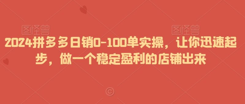 2024拼多多日销0-100单实操,让你迅速起步,做一个稳定盈利的店铺出来|云雀资源分享