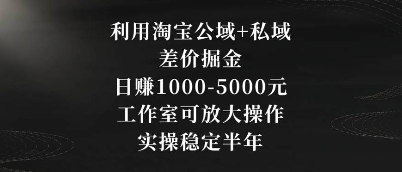 利用淘宝公域+私域差价掘金,日赚1000-5000元,工作室可放大操作,实操稳定半年【揭秘】|云雀资源分享
