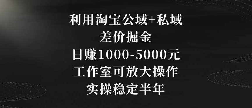 利用淘宝公域+私域差价掘金，日赚1000-5000元，工作室可放大操作，实操稳定半年【揭秘】|云雀资源分享