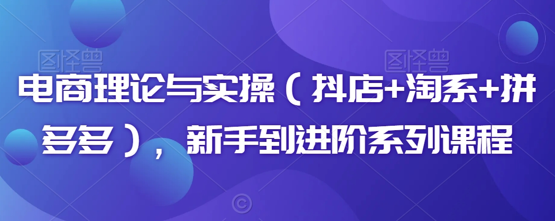 电商理论与实操（抖店+淘系+拼多多），新手到进阶系列课程|云雀资源分享