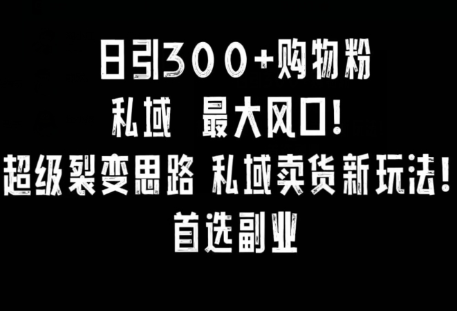 日引300+购物粉，超级裂变思路，私域卖货新玩法，小红书首选副业【揭秘】|云雀资源分享