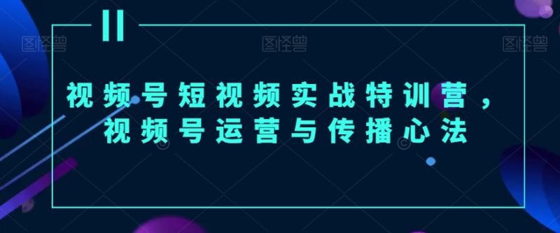 视频号短视频实战特训营,视频号运营与传播心法|云雀资源分享