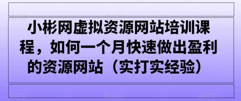 小彬网虚拟资源网站培训课程,如何一个月快速做出盈利的资源网站(实打实经验)|云雀资源分享