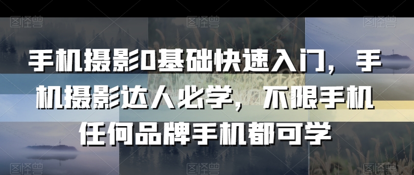 手机摄影0基础快速入门，手机摄影达人必学，不限手机任何品牌手机都可学|云雀资源分享