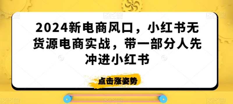 2024新电商风口,小红书无货源电商实战,带一部分人先冲进小红书|云雀资源分享