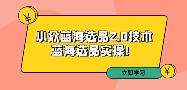 拼多多培训第33期：小众蓝海选品2.0技术-蓝海选品实操！|云雀资源分享