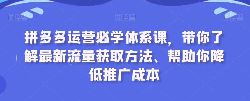 拼多多运营必学体系课，带你了解最新流量获取方法、帮助你降低推广成本|云雀资源分享