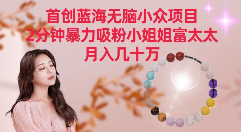 首创蓝海无脑小众项目，2分钟暴力吸粉小姐姐富太太，月入几十万【揭秘】|云雀资源分享