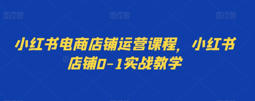 小红书电商店铺运营课程，小红书店铺0-1实战教学|云雀资源分享