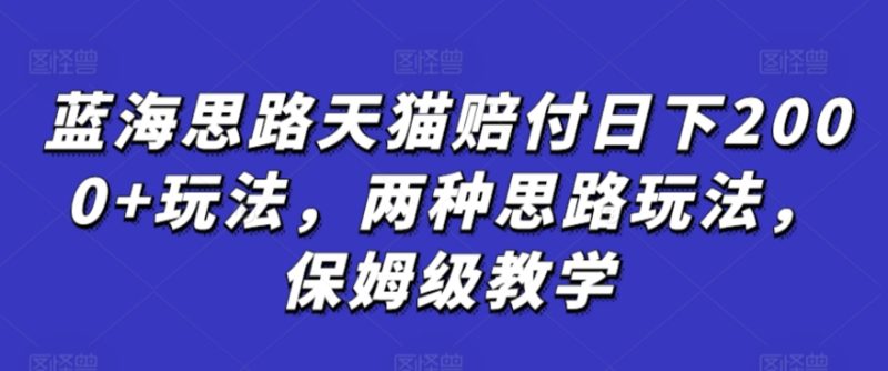 蓝海思路天猫赔付日下2000+玩法，两种思路玩法，保姆级教学【仅揭秘】|云雀资源分享