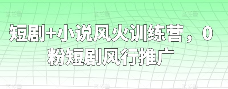 短剧+小说风火训练营,0粉短剧风行推广|云雀资源分享