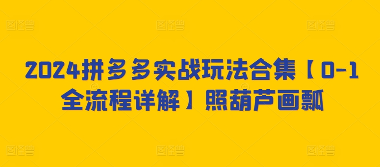 2024拼多多实战玩法合集【0-1全流程详解】照葫芦画瓢|云雀资源分享