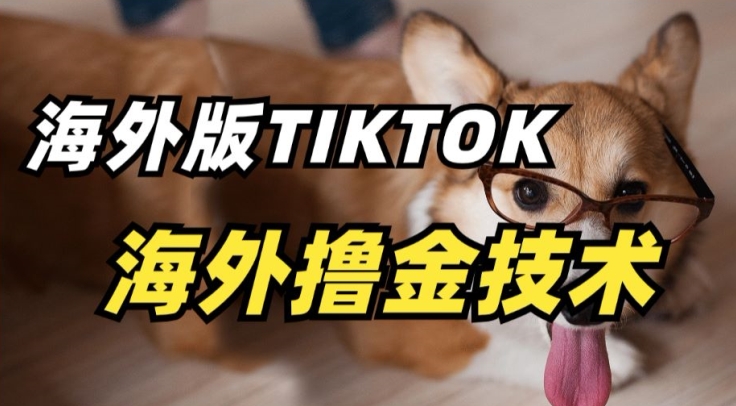 抖音海外版tiktok撸金技术，这个风口行业，赚钱真的不难【揭秘】|云雀资源分享