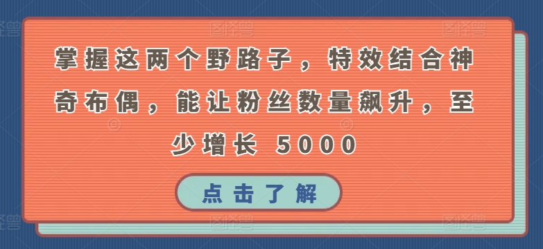 掌握这两个野路子，特效结合神奇布偶，能让粉丝数量飙升，至少增长 5000【揭秘】|云雀资源分享