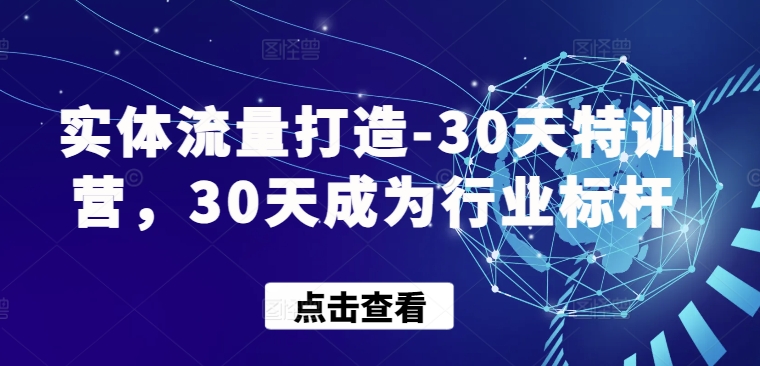 实体流量打造-30天特训营，30天成为行业标杆|云雀资源分享