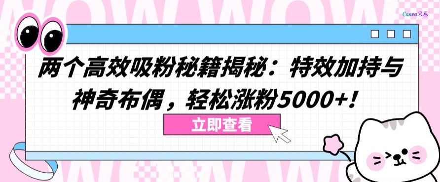 两个高效吸粉秘籍揭秘：特效加持与神奇布偶，轻松涨粉5000+【揭秘】|云雀资源分享