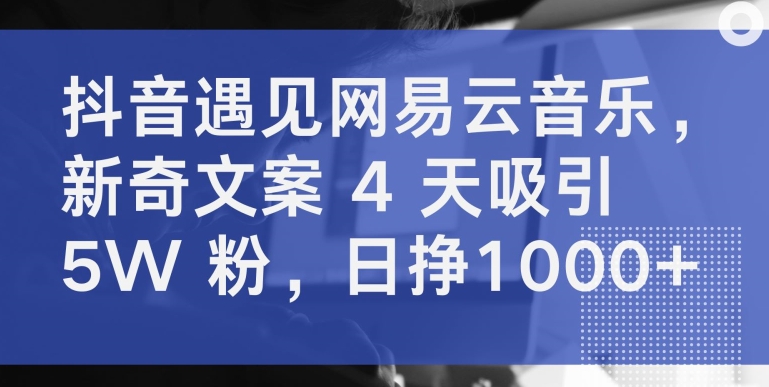抖音遇见网易云音乐，新奇文案 4 天吸引 5W 粉，日挣1000+【揭秘】|云雀资源分享