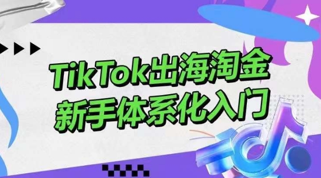 TikTok出海淘金，新手体系化入门，零基础快速入门，掌握短视频、直播带货等引流到变现的知识|云雀资源分享