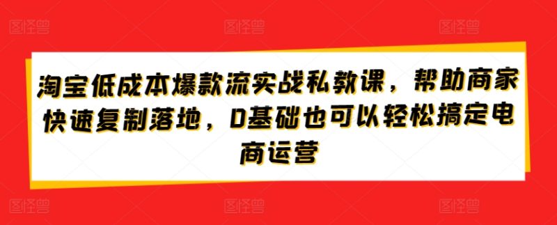 淘宝低成本爆款流实战私教课,帮助商家快速复制落地,0基础也可以轻松搞定电商运营|云雀资源分享