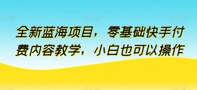 全新升级蓝海项目，零基础快手视频付费视频课堂教学，新手也可以操作【揭密】|云雀资源分享