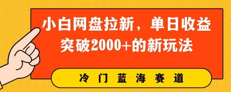 小白网盘引流,单日盈利提升2000 的新玩法|云雀资源分享