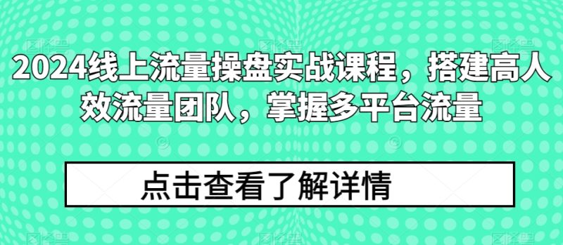 2024用户流量股票操盘实战演练课程内容，构建高人效总流量精英团队，把握多用户流量|云雀资源分享