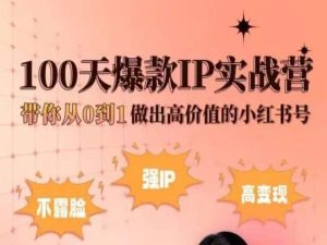 小红书的100天爆品IP实战营，陪你从0到1作出高颜值的小红书号|云雀资源分享