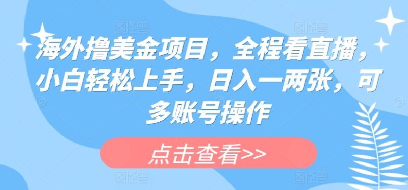 国外撸美元新项目,全过程手机看直播,新手快速上手,日入一两张,可多账号实际操作【揭密】|云雀资源分享