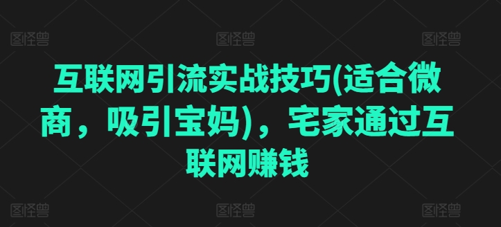 互联网引流实战经验(适宜微商代理，吸引住宝妈妈)，蹲在家里根据网络赚钱|云雀资源分享