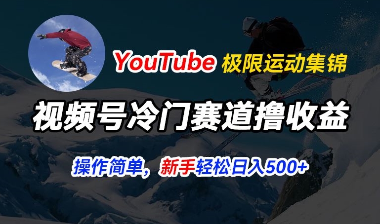 微信视频号小众跑道撸盈利，YouTube运送滑雪运动合集，暴力行为养号，使用方便总流量高，轻轻松松日入5张【揭密】|云雀资源分享