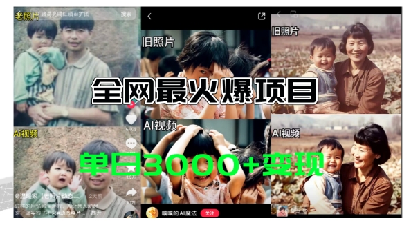 各大网站爆红的AI让老照片动起来实例教程，借势营销日赚3k ，含有完全免费专用工具一键可生成【揭密】|云雀资源分享