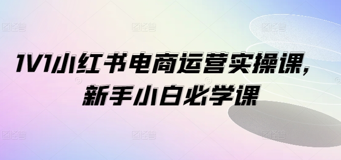 1V1小红书的电商运营实操课，新手入门必会课|云雀资源分享