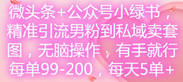 头条 微信公众号小绿书，精准引流方法粉丝到公域卖套图，没脑子实际操作，有手就行，每一单99-200，每日5单|云雀资源分享