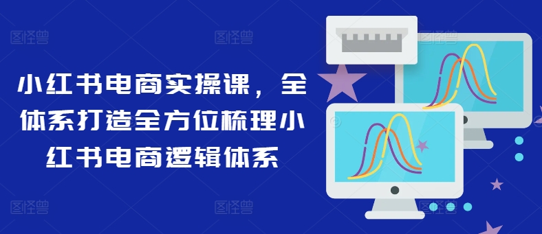 小红书电商实操课，全管理体系打造出多方位整理小红书电商逻辑框架|云雀资源分享