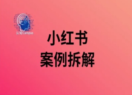 小红书的实例拆卸，深度解析小红书的40万粉|云雀资源分享
