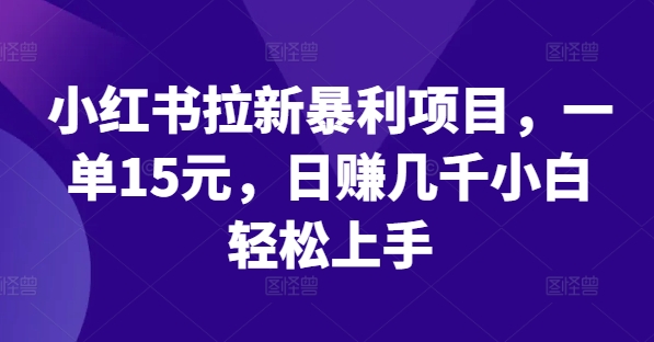 小红书的引流赚钱项目，一单15元，日赚好几千新手快速上手【揭密】|云雀资源分享
