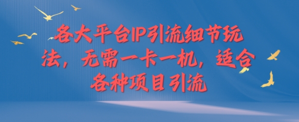 各个平台IP引流方法小细节游戏玩法，不用一卡一机，适用于各种新项目引流方法|云雀资源分享