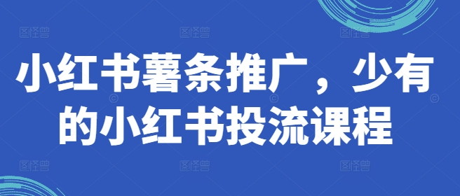 小红书的炸薯条营销推广，难得少有的小红书投流课程内容|云雀资源分享