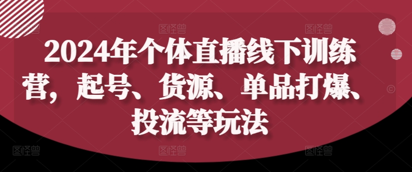 2024年个人直播间夏令营，养号、一手货源、品类打穿、投流等玩法|云雀资源分享