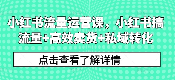 小红书流量运营课，小红书搞流量+高效卖货+私域转化|云雀资源分享