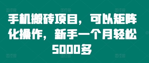 手机搬砖项目，可以矩阵化操作，新手一个月轻松5000多|云雀资源分享