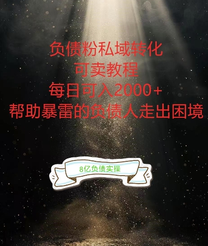 负债粉掘金计划，帮助负债者解决问题，债务规划，债务重组，最好的变现方式【揭秘】|云雀资源分享