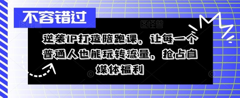 逆袭IP打造陪跑课,让每一个普通人也能玩转流量,抢占自媒体福利|云雀资源分享