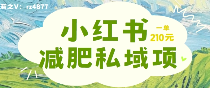 小红书减肥粉，私域变现项目，一单就达210元，小白也能轻松上手【揭秘】|云雀资源分享