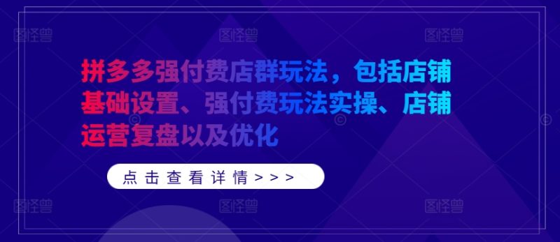 拼多多强付费店群玩法,包括店铺基础设置、强付费玩法实操、店铺运营复盘以及优化|云雀资源分享
