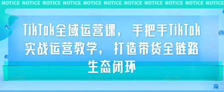 TikTok全域运营课，手把手TikTok实战运营教学，打造带货全链路生态闭环|云雀资源分享