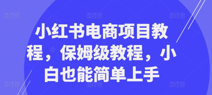小红书电商新项目实例教程，家庭保姆级实例教程，新手也可以简易入门|云雀资源分享