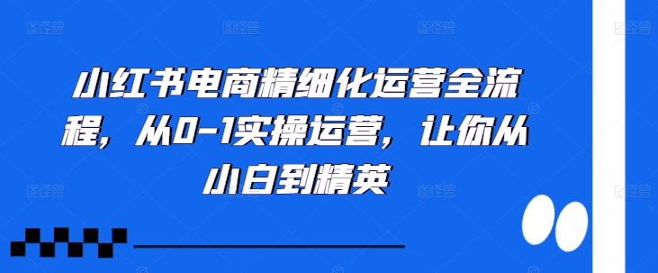 小红书电商精细化营销全过程，从0-1实际操作经营，使你从小白到精锐|云雀资源分享