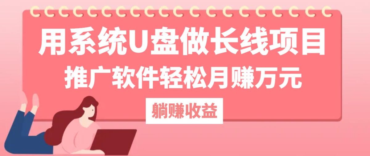 用系统U盘做长线项目，推广软件轻松月赚万元|云雀资源分享